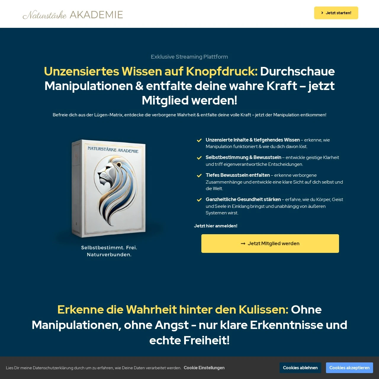 Descrição da imagem